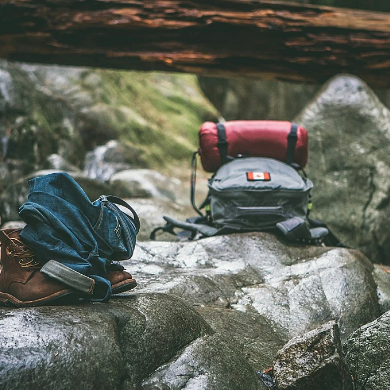 Exploring the Beauty of the Cypress Grove Trail