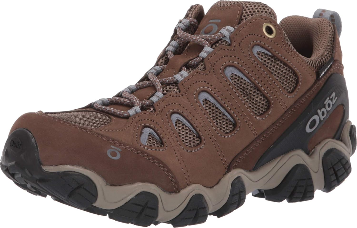 Women's Sawtooth Low BDry Hiking Shoe 6 Brind\u002ftb
