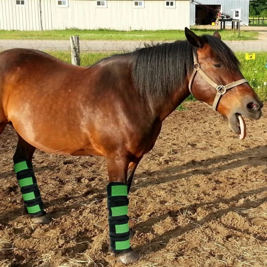 714EFjNuLRL._AC_SL1000_