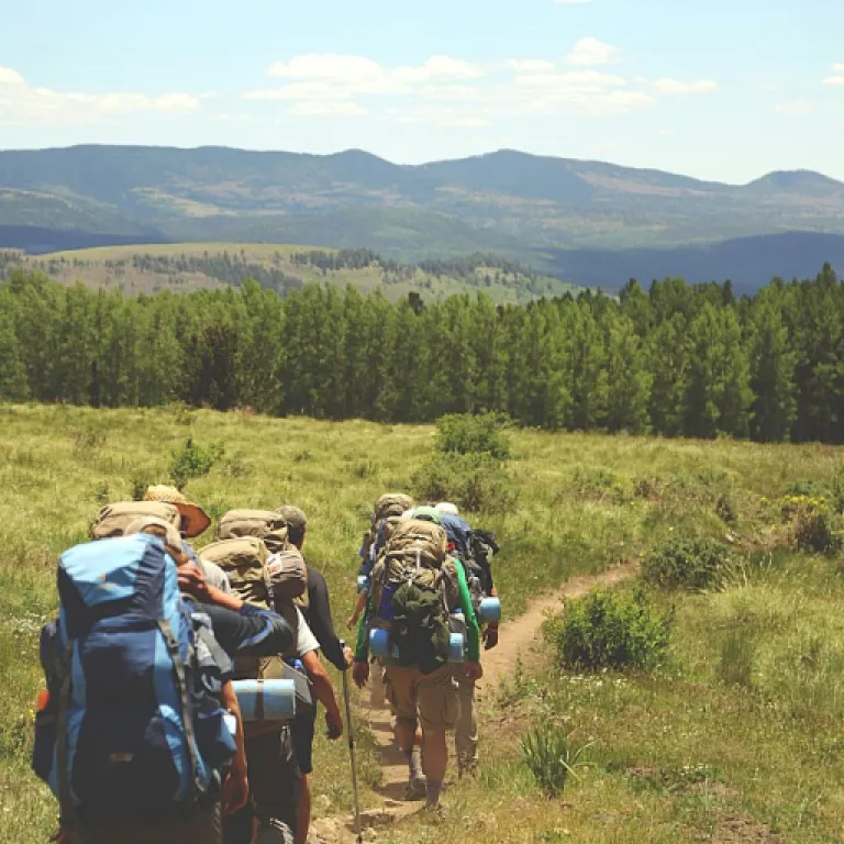 The Best Dark Brown Hiking Shorts for Women