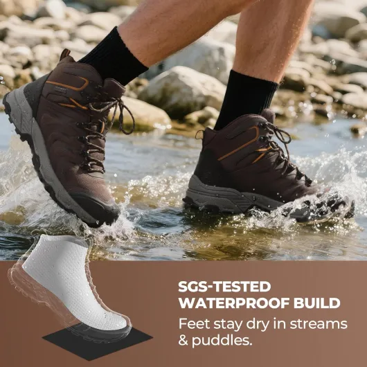 81XAcbp3JZL._AC_SL1500_