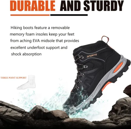 71zt2rMsLRS._AC_SL1500_