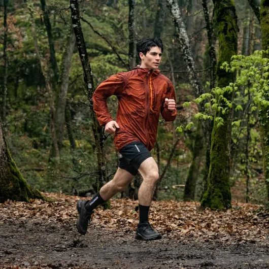 91y8w-jpY2L._AC_SL1500_