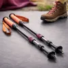 Trekking Poles Cut Knee Impact by 25 Percent: How to Actually Use Them on Climbs and Descents