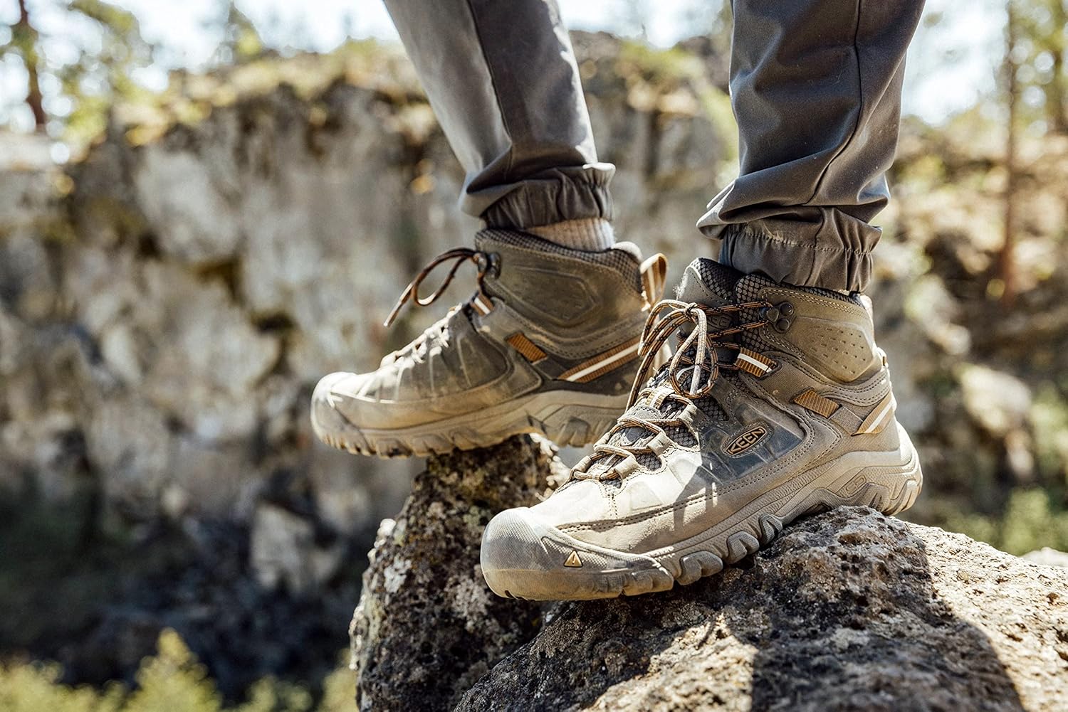 Men's Targhee 3 Mid Height Waterproof Hiking Boots, Black Olive/Golden Brown, 9