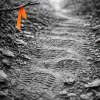 National Trails Day on Saturday: How to Find a Real Trail Work Day Near You (And Why It Pays You Back in Miles)